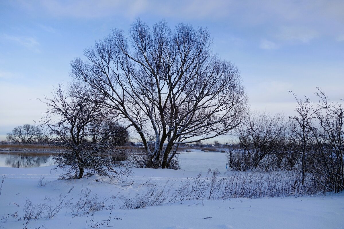 Калининградский залив и побережье - Рита Симонова