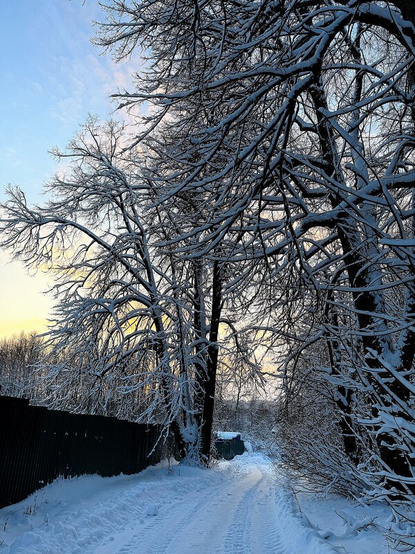 Зимний день. - Ирина *