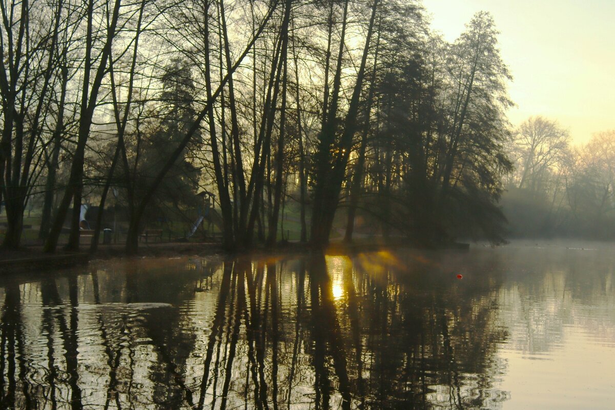 Зимнее утро - Юрий. Шмаков
