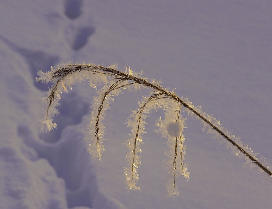 Поклон солнцу - liudmila drake