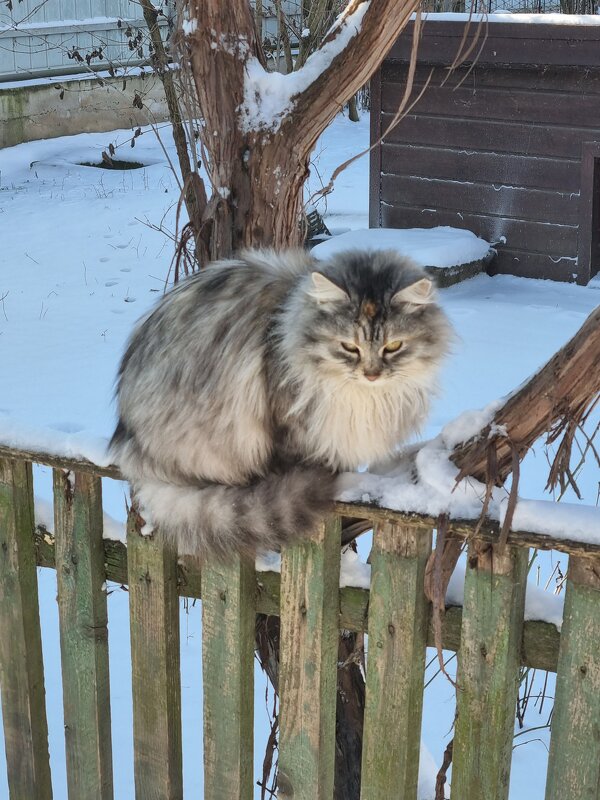 Визит вежливости :) - Наталья 