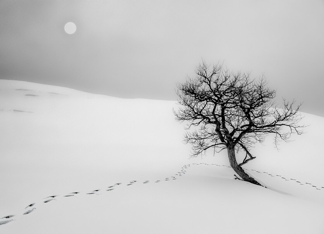 Противостояние - Юрий Лев