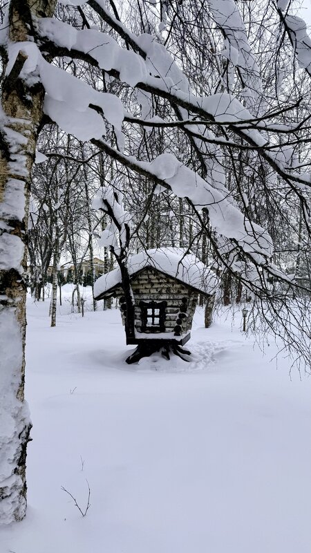 «У леса на опушке жила ЗИМА  в избушке…» - Арина Невская