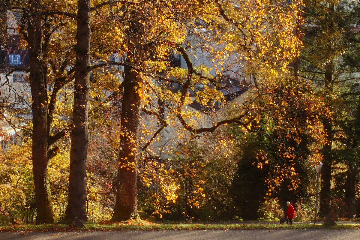 Затерянная в осени - Юрий. Шмаков