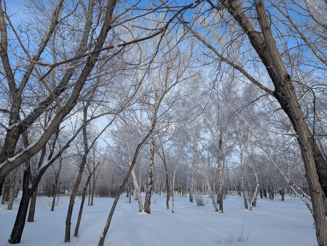Снежная зима ... - Андрей Хлопонин
