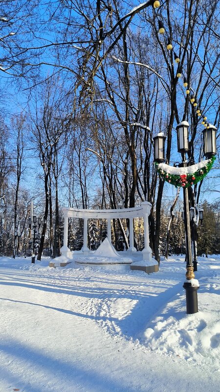 Брянск. В парке. - Ольга 