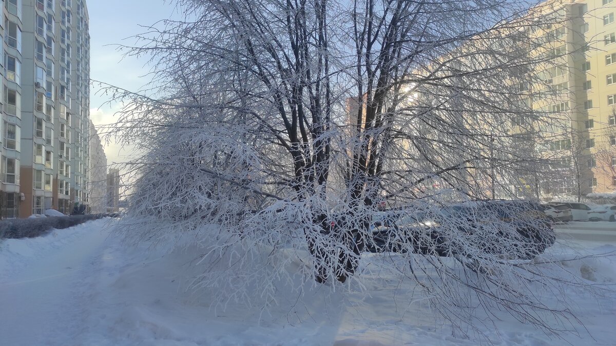 Моя улица - Татьяна Лютаева