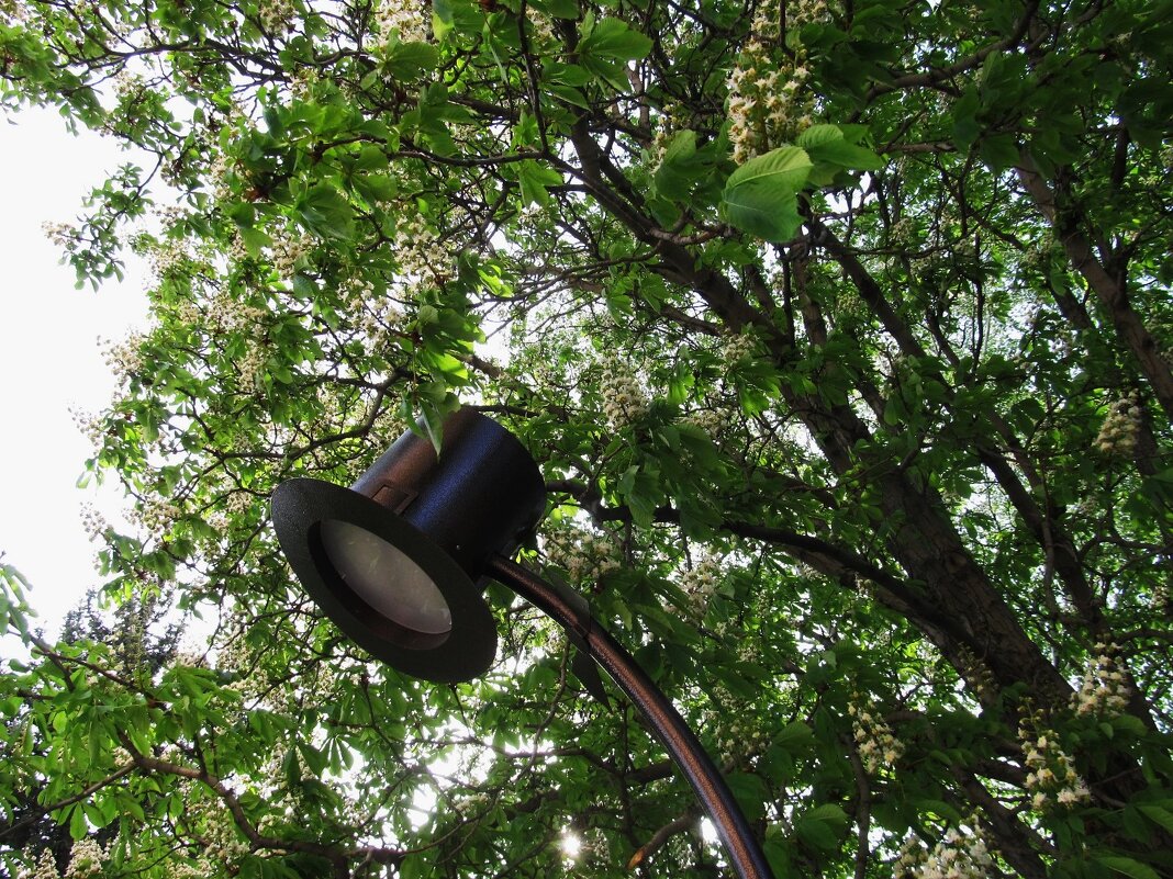 у театра - Елена Шаламова