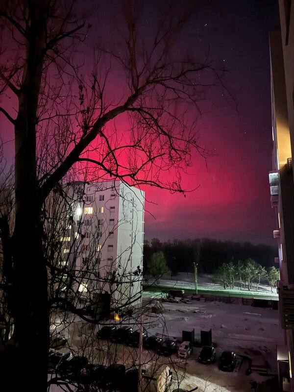 Северное сияние с 19 на 20 января 2026 год - Татьяна Пальчикова