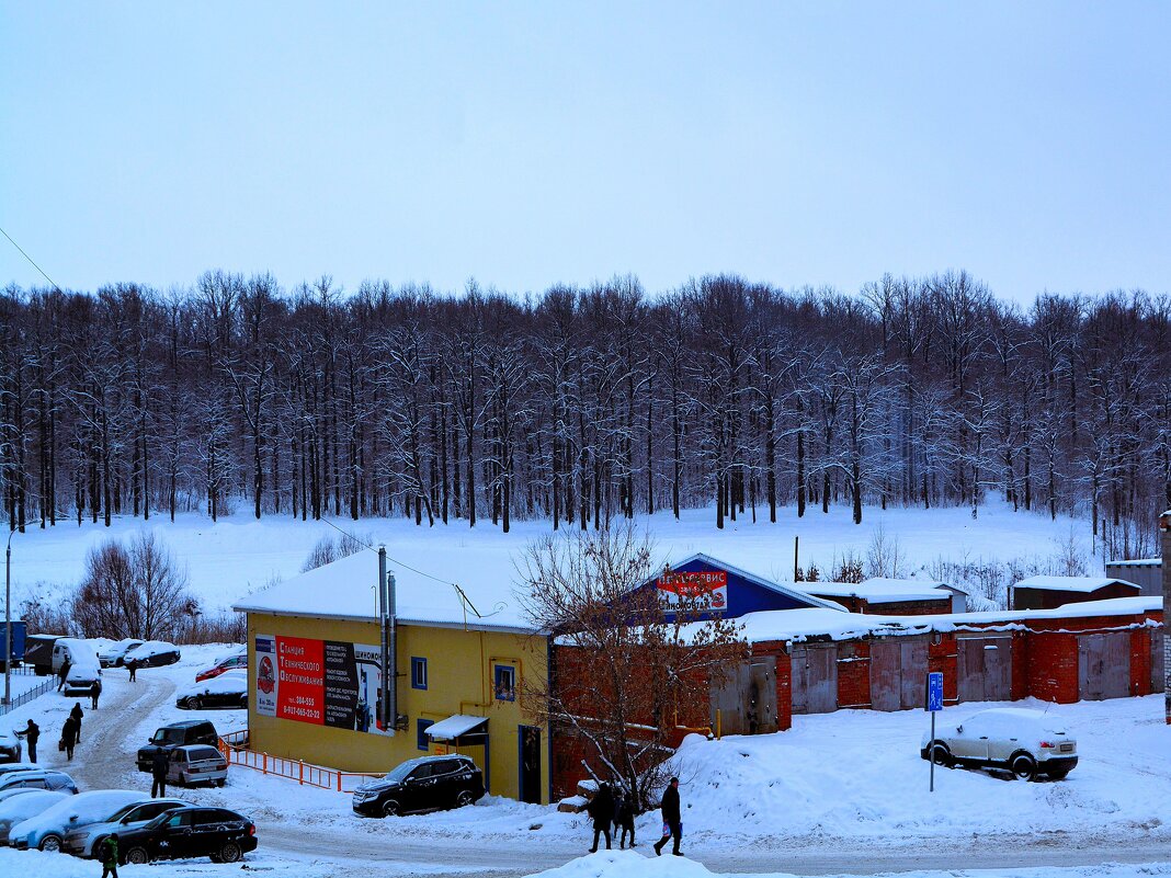 Чебоксары. Юго-восточные окрестности Бауманского леса зимой. - Пётр Чернега