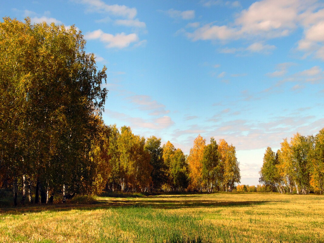 Просторы осени. - nadyasilyuk Вознюк