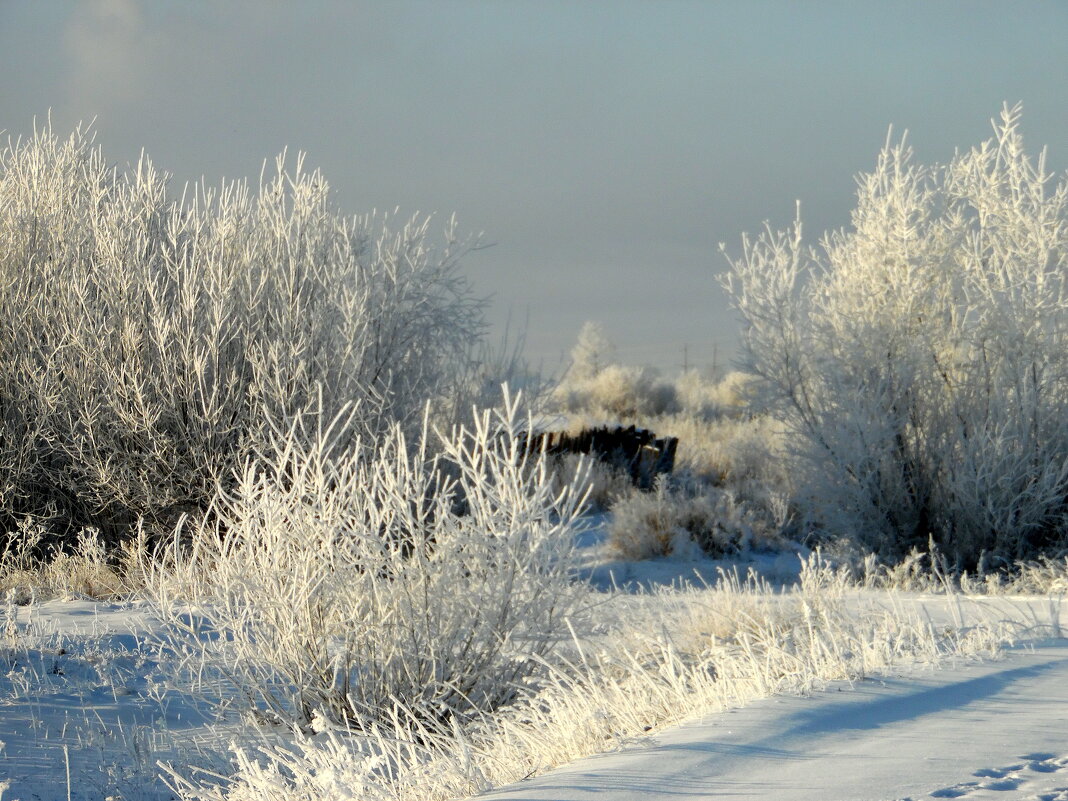 В объятьях зимы. - nadyasilyuk Вознюк