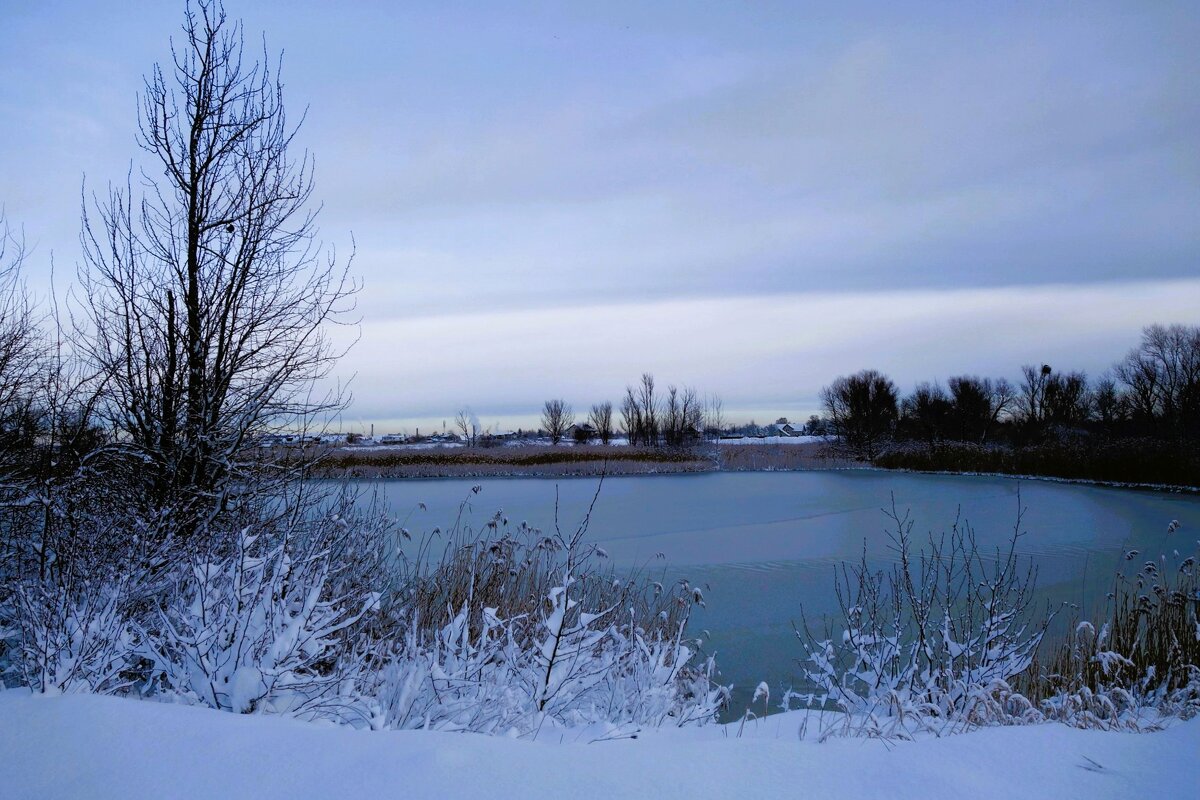 Зимние зарисовки - Рита Симонова