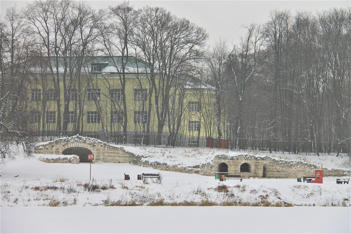 ЗИМНИЙ ПАСМУРНЫЙ ДЕНЬ В ПАРКЕ КУЗЬМИНКИ-ЛЮБЛИНО - Валентина 