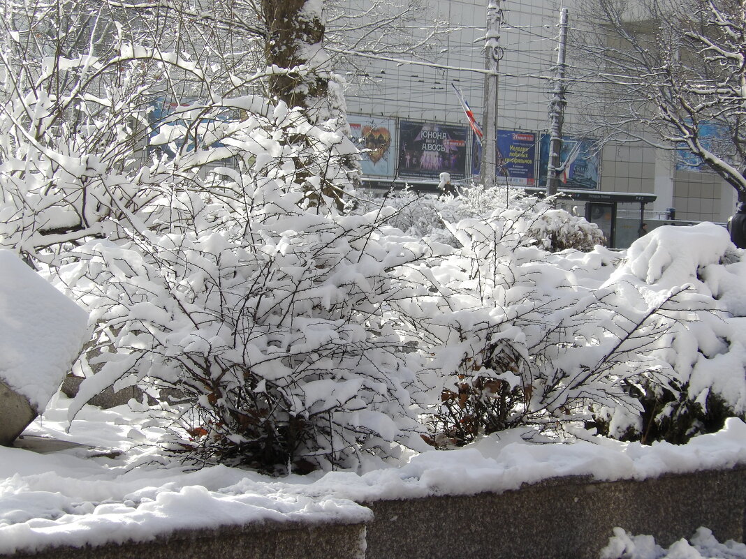 Зима  в Симферополе - Валентин Семчишин