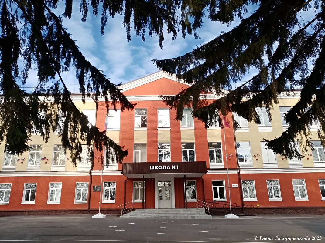 Любимая школа - ЕЛЕНА СУХОРУЧЕКОВА 