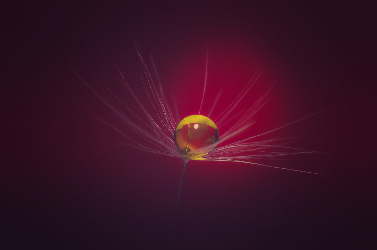 *** - Виктор Иванович Чернюк