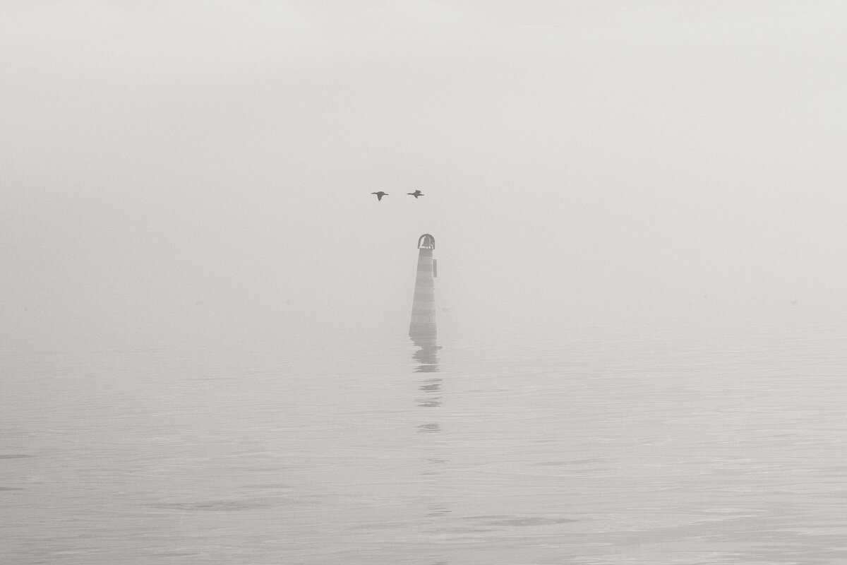 Белый покой. - Анатолий Щербак