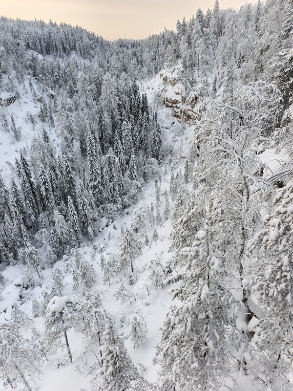 А сверху еще красивее) - Ольга Чистякова