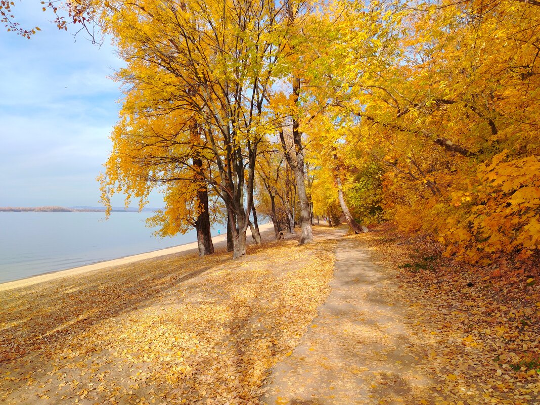 Волга осенью - Надежда 