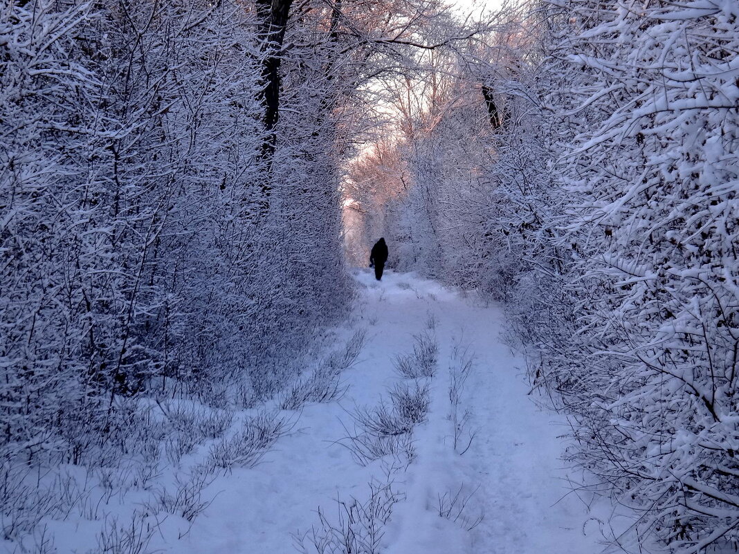 - - Aндрей Антонов