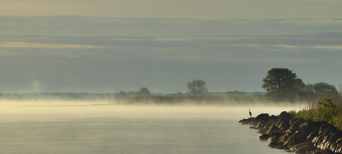 Утро на Куршском заливе - Константин 