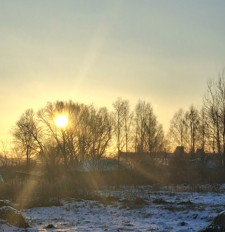 Зимнее солнце!!! - оля san-alondra