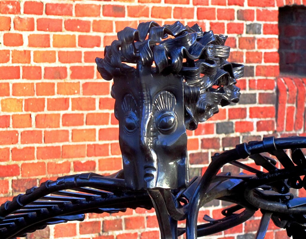 Птица Гауя - Сергей Карачин