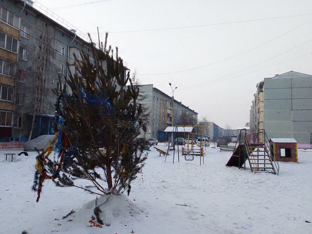 двор 1мркн - Екатерина Панова