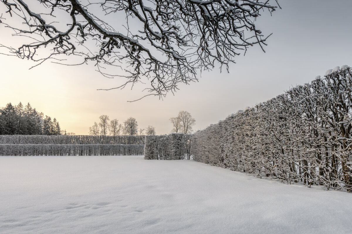 Про Питер - Владимир Колесников