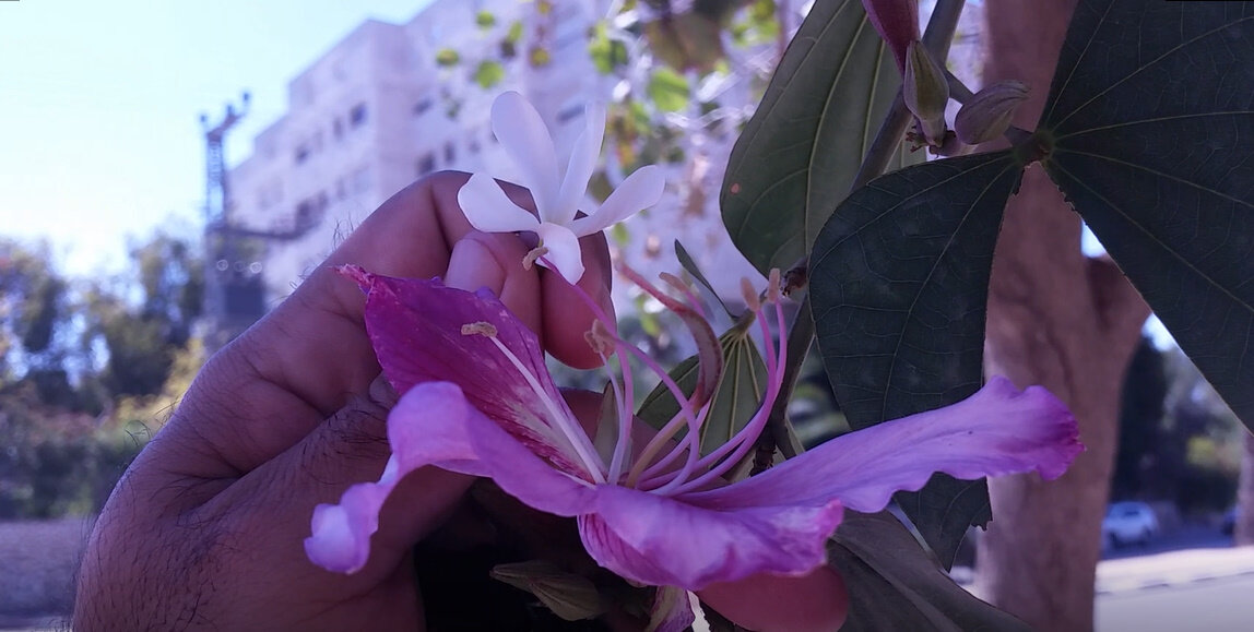 13  ОПЕН (837) - OPEN WAYS ALL