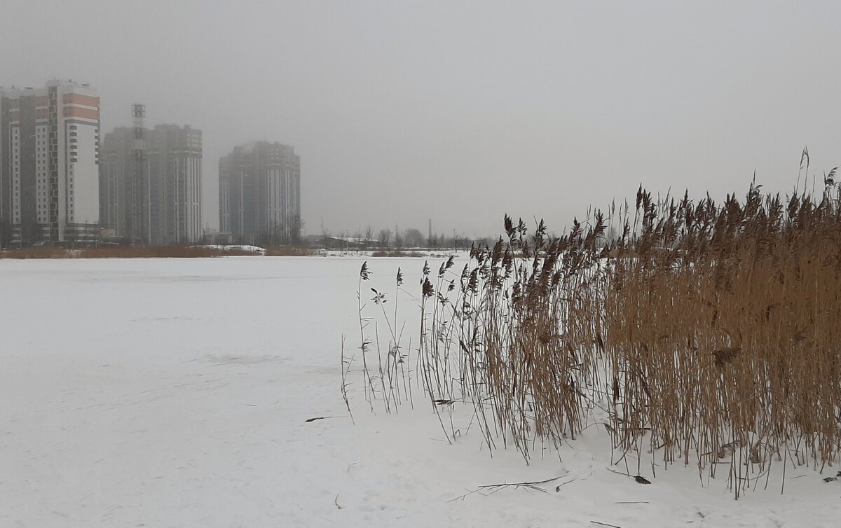 Зимний пейзаж - Наталья Герасимова