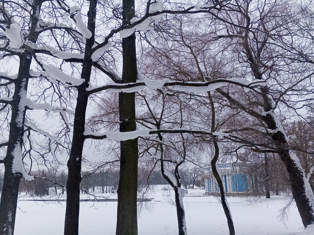 Зима - Сапсан 