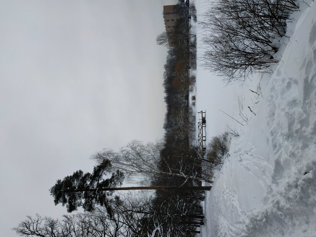 * * * - Андрей Лукьянов