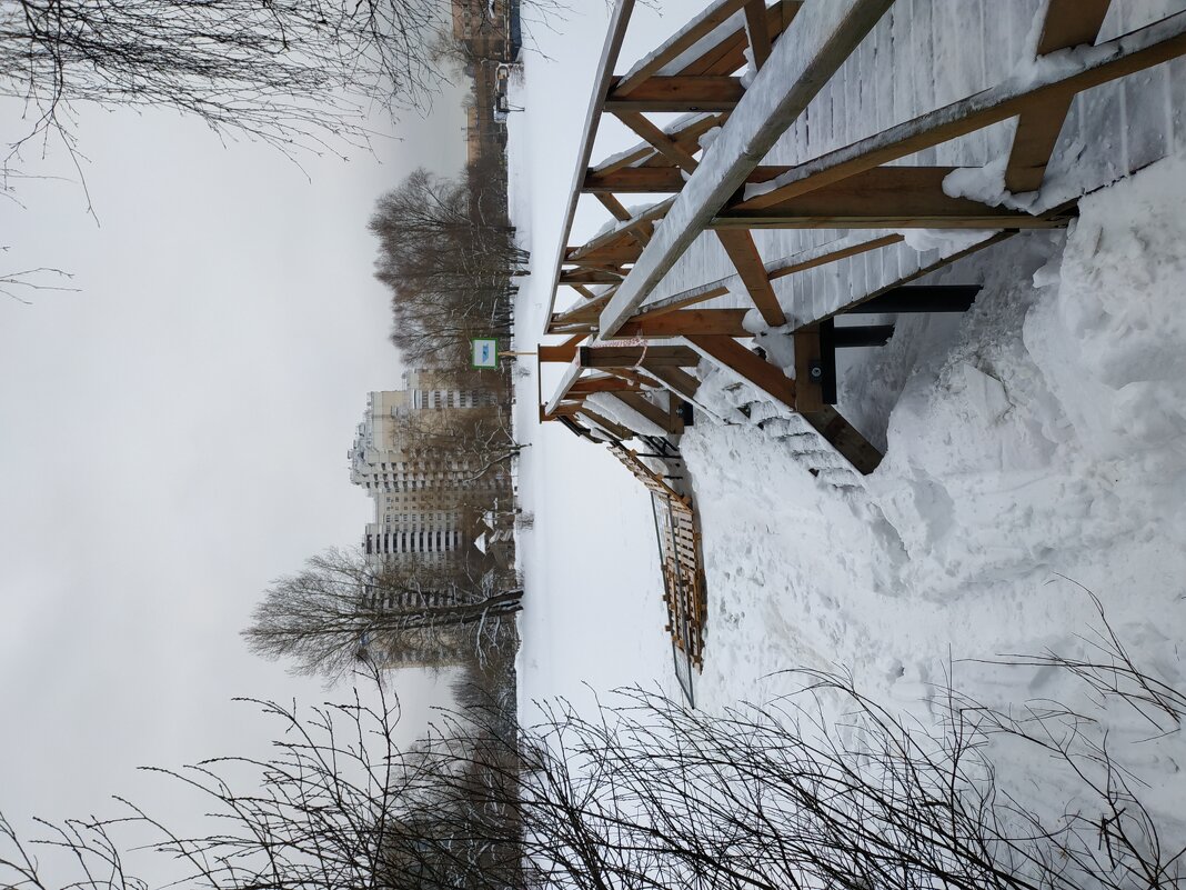 Наши Крещенские НЕкупания :-( - Андрей Лукьянов