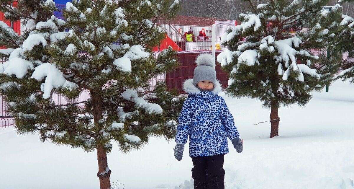 Тоже хочу лыжи - Galina Solovova