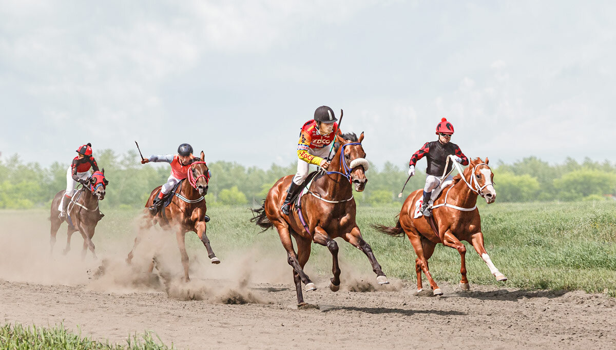 Скачки - SanSan 