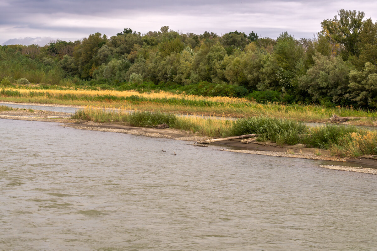 Река Кубань - Игорь Сикорский