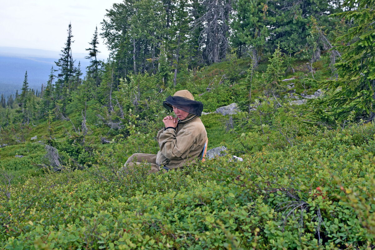 Отдыхает. - ВикТор Быстров