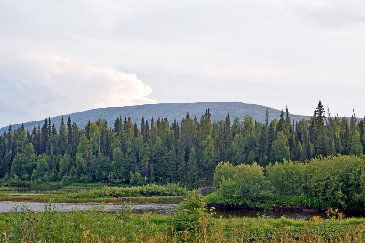 Прощай, Тима из! - ВикТор Быстров