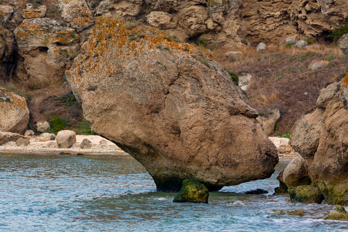 ***** - Виталий Емельянов