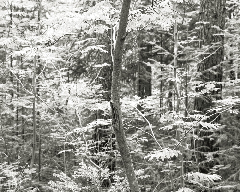 Фотография - Денис Безногов