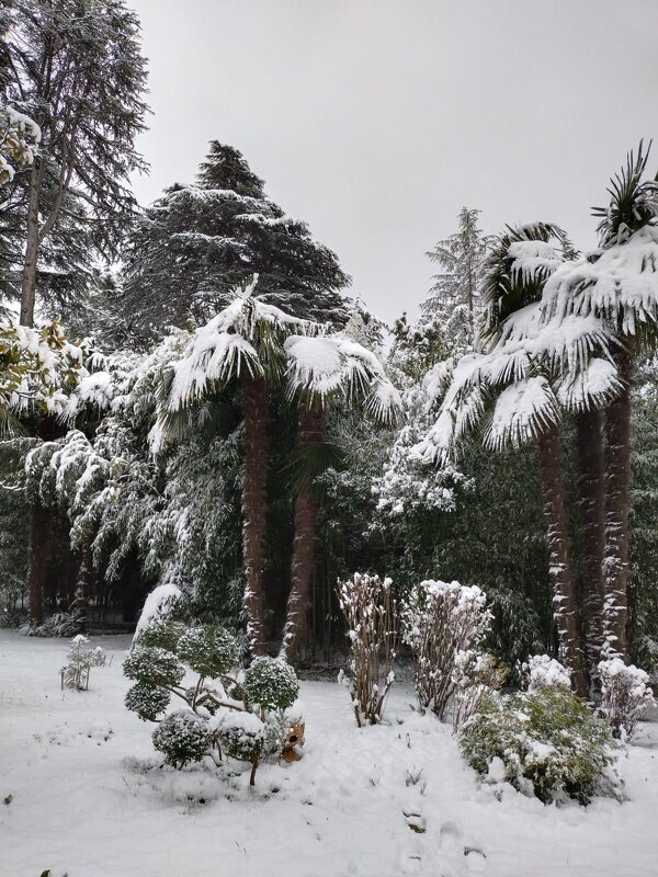 Сочи - Serega SchütZ