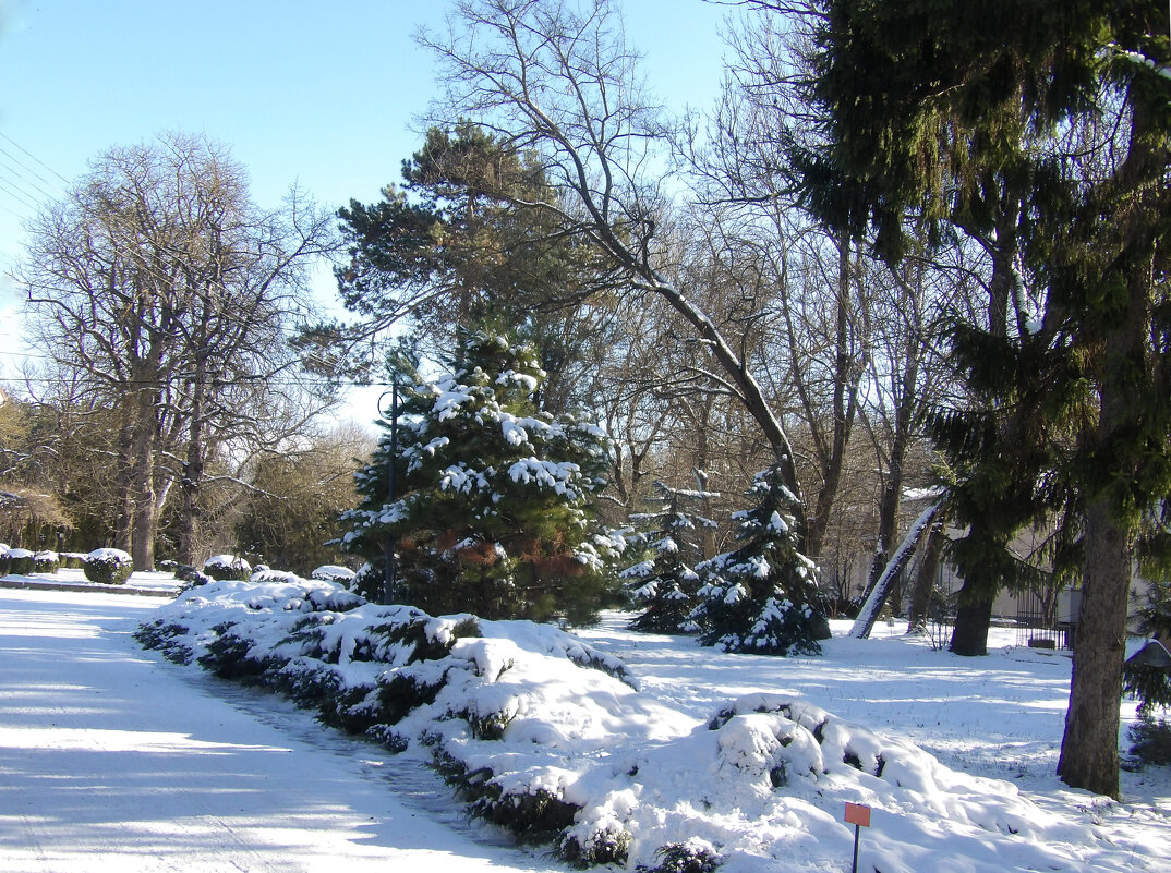 Зимний пейзаж - Валентин Семчишин