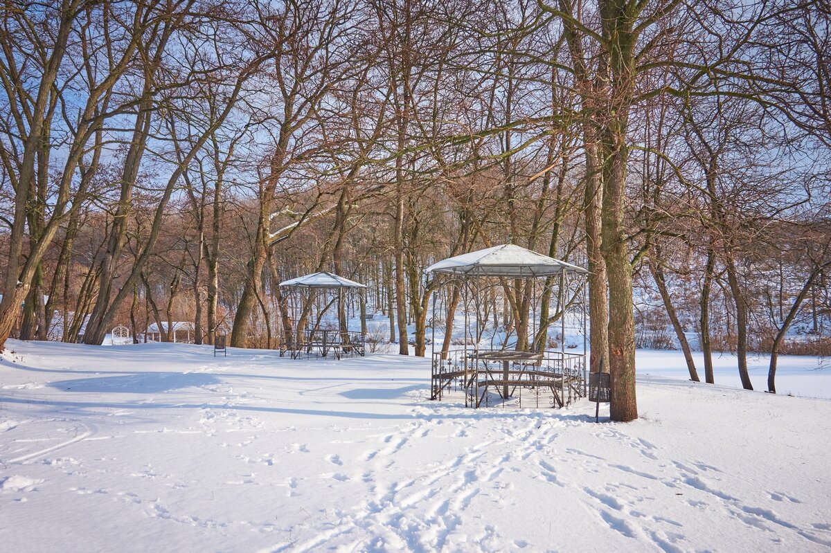 В зимнем парке так бело, так бело ... - Ravile 