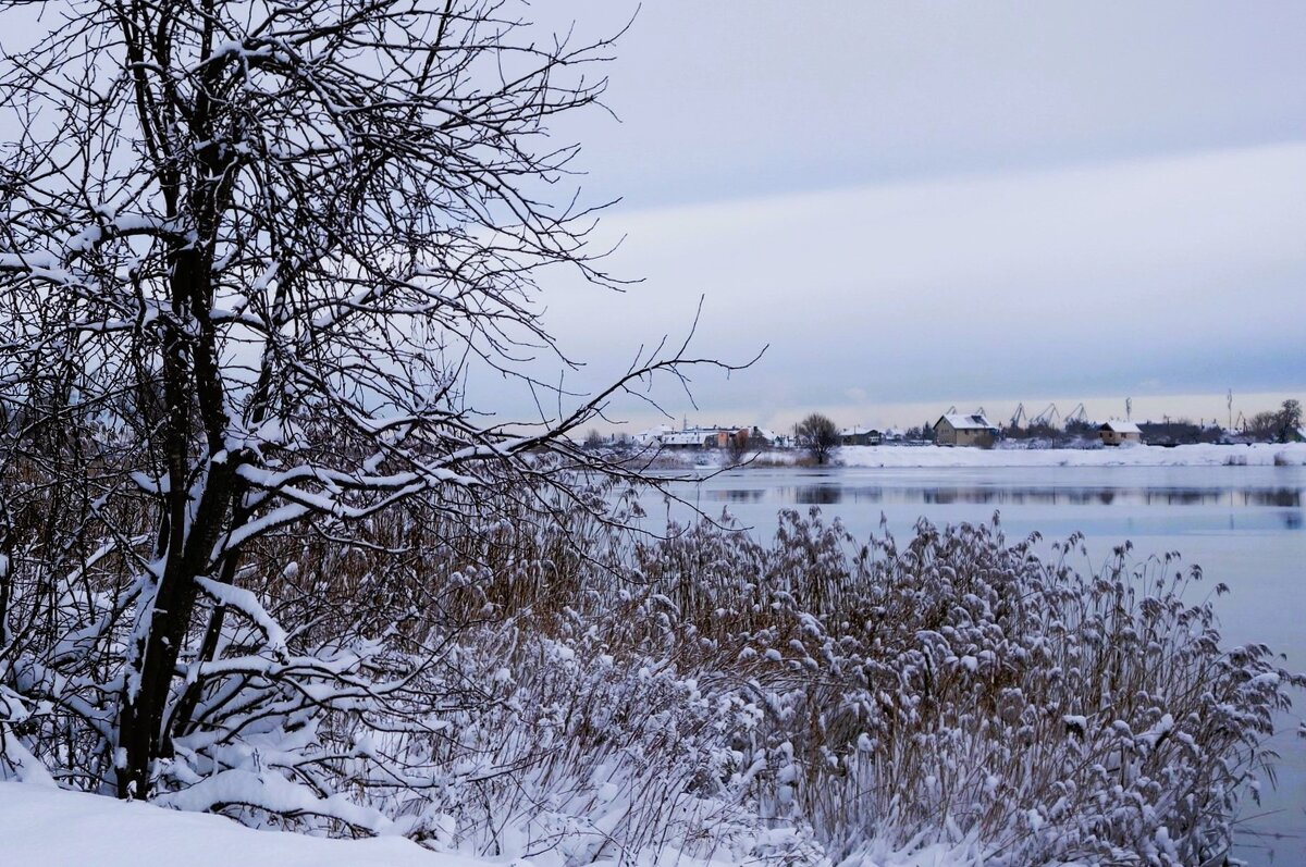 Зима - Рита Симонова