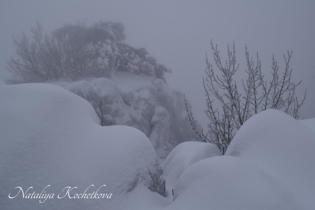 Природа Крыма - Amazing Cosmea