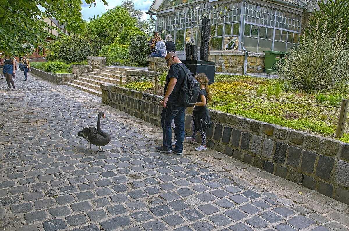 Будапешт *Венгрия - ujgcvbif 