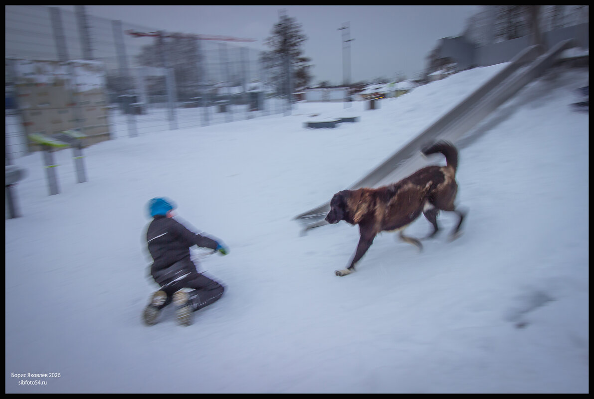 Бездомная собака и малыш. - Борис Яковлев