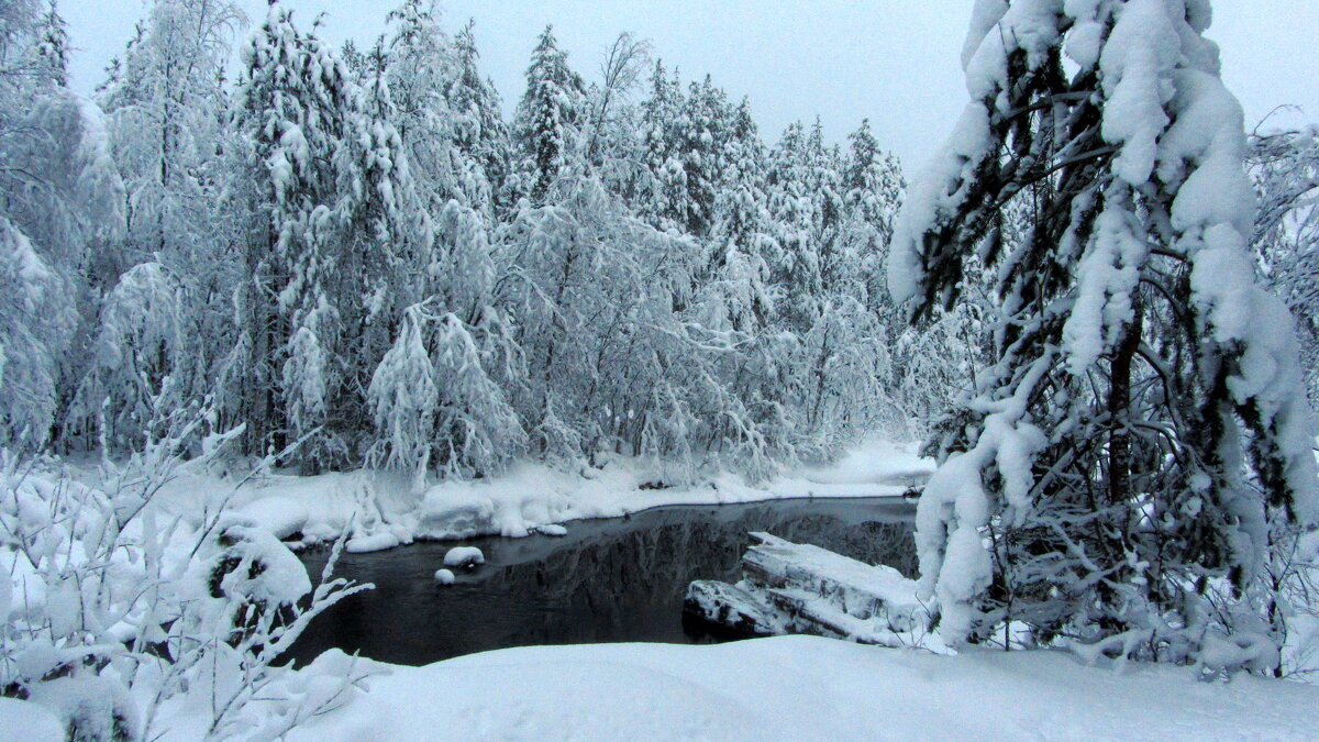 *** - Галина Полина